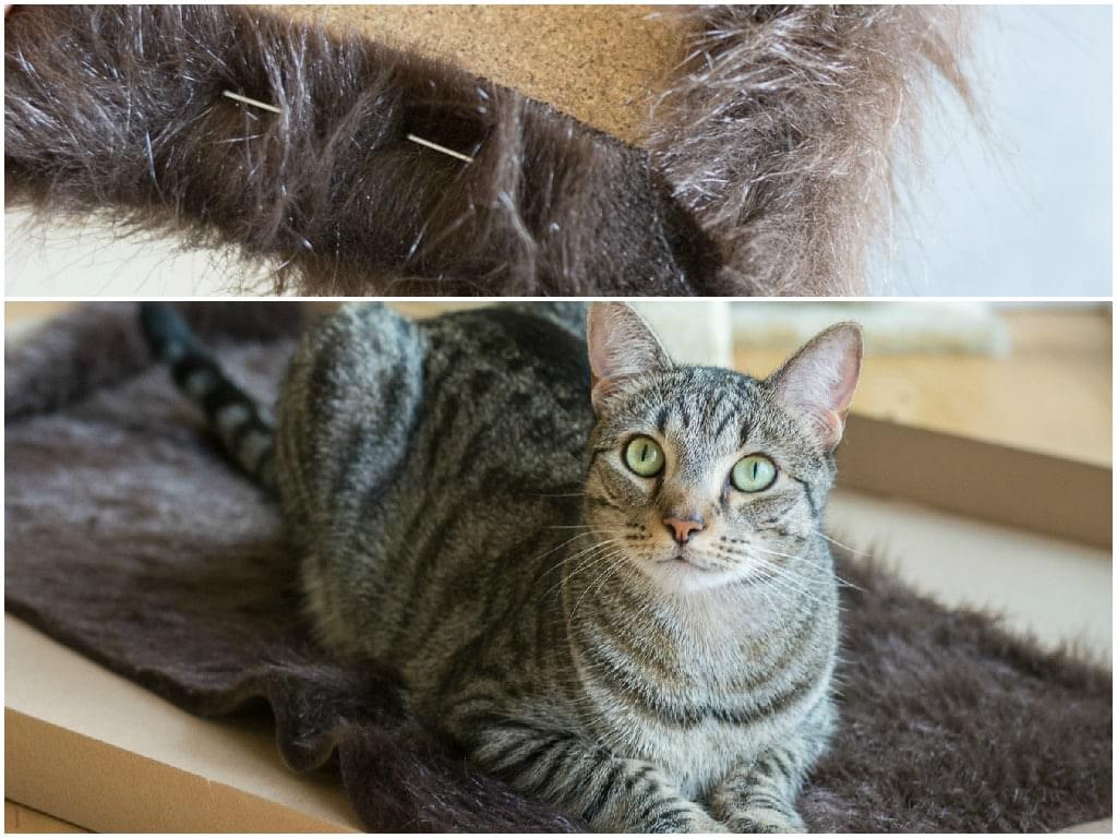 DIY-katten-huis-ikea-hack- krabpaal-bron-Brittany-Goldwyn
